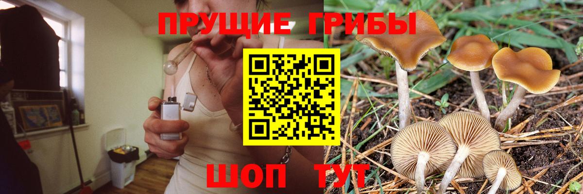 Псилоцибиновые грибы Cubensis  купить наркоту  Орехово-Зуево  Вход с VPN 
